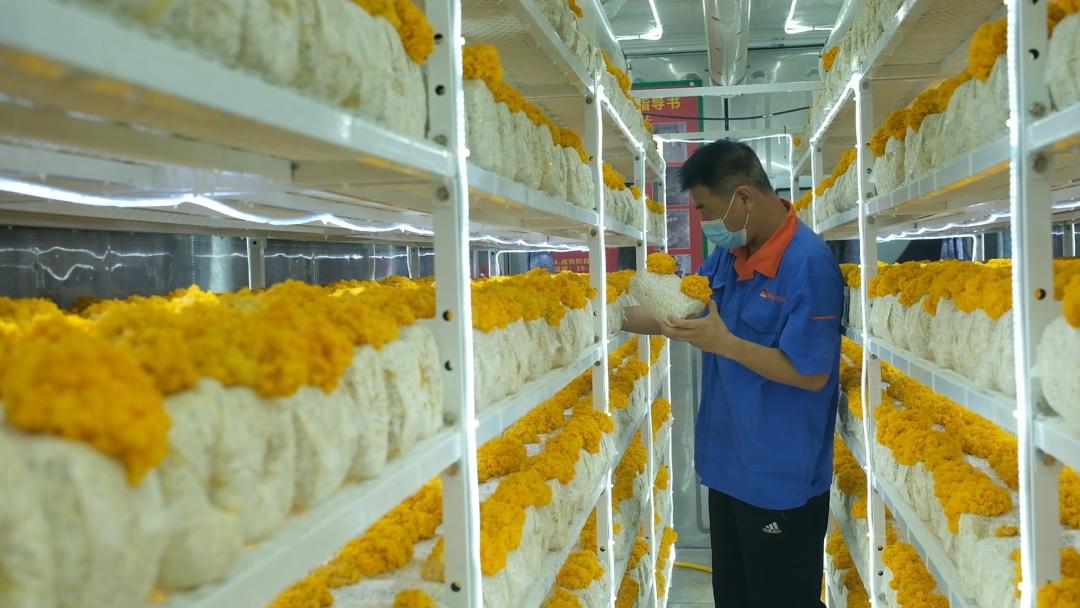 ɽ|fS𡱮a(chn)I(y)ġƼ(wn)a(chn)